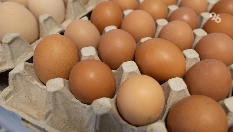 Сезон и эпидемии влияют на рост цен на яйца — эксперт ставропольского вуза