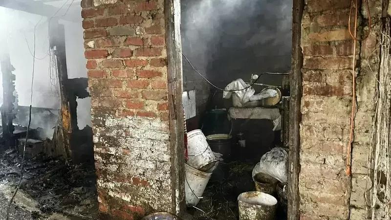 Шесть коров и 15 свиней спасли из горящего хлева в селе Грачёвского округа