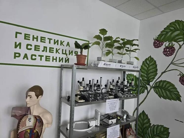 Школьники Кировского округа Ставрополья выращивают баклажаны