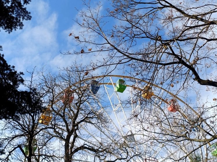 Следком начал проверку после инцидента в городском парке Ставрополя