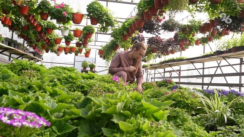 Ставрополец открыл шиномонтажную мастерскую благодаря соцконтракту