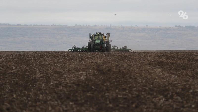 Ставропольские учёные нашли способ сократить выбросы углекислого газа