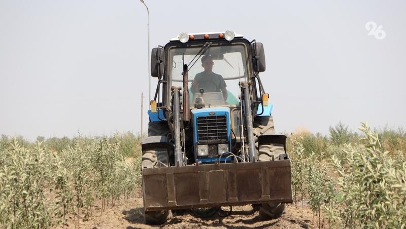 Трактор и культиватор закупят для лесхоза на Ставрополье