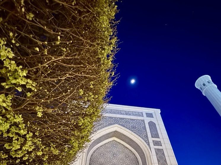 Уроженец Чечни Турпал Аутаев возглавил первое Генконсульство России в Шарм-эш-Шейхе