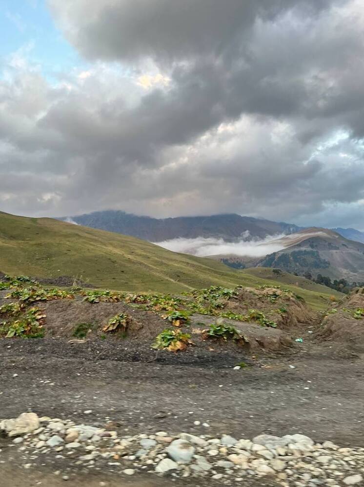 В Чечне обсудили завершение строительства курорта «Ведучи»