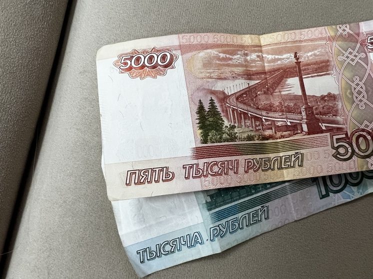 В гости по графику: на Ставрополье женщина приходила к знакомому в дни выплаты пенсии и похищала наличку