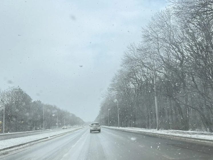 В Грачёвском округе туман и боковой ветер осложняют дорожную обстановку