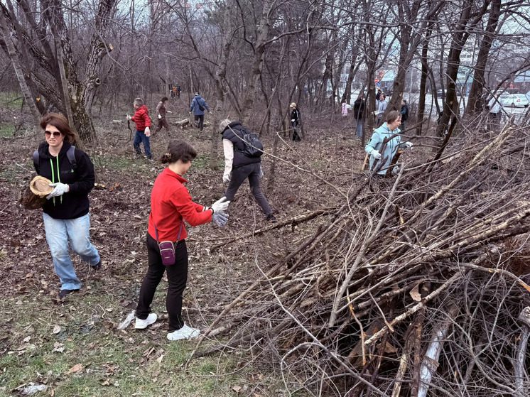 В Пятигорске на склоне Машука прошел субботник по инициативе волонтеров