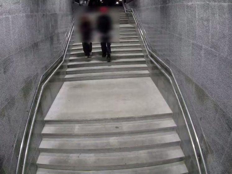 В Ставрополе парень и девушка намеренно повредили камеры «Безопасного города» на проспекте Кулакова