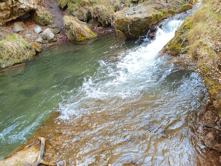 Василисин день на Ставрополье: приметы и обычаи