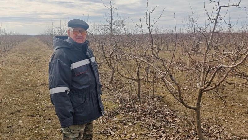Виноградники Ставрополья хорошо перенесли зиму &mdash; минсельхоз края