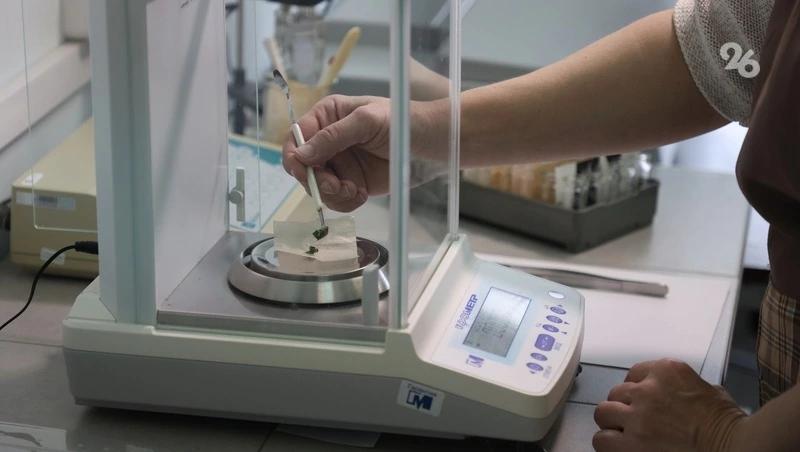 Виноградники Ставрополья хорошо перенесли зиму &mdash; минсельхоз края