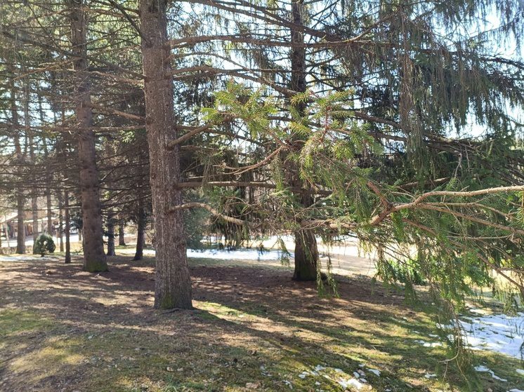 Владельцы охотхозяйств на Кавминводах исправляют нарушения после вмешательства прокуратуры