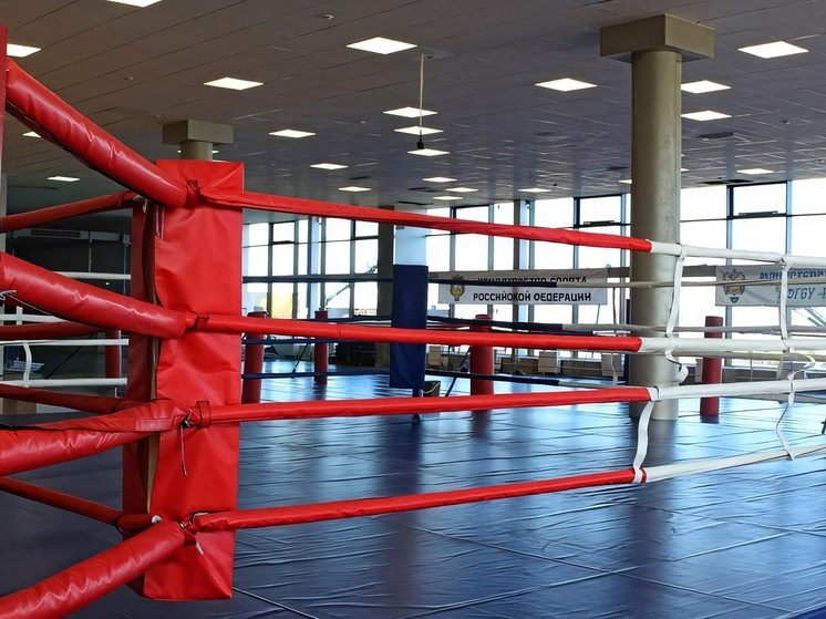 Владикавказ принял международный турнир по профессиональному боксу