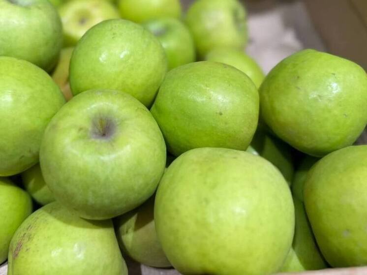 Владимир Владимиров поддержал расширение суперинтенсивного сада на Ставрополье