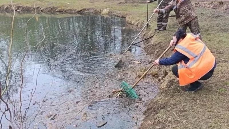 Водоём в парке «Шерстяник» очищают ежедневно — глава Невинномысска