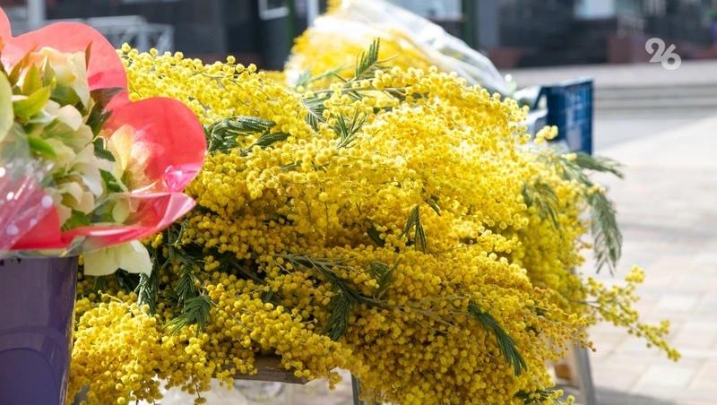 Волонтёры со Ставрополья первыми запустили акцию &laquo;Цветы мамам героев&raquo;