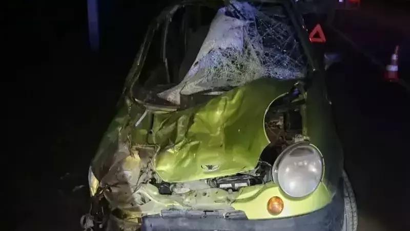 Женщина пострадала при столкновении легковушки с лошадью на Ставрополье