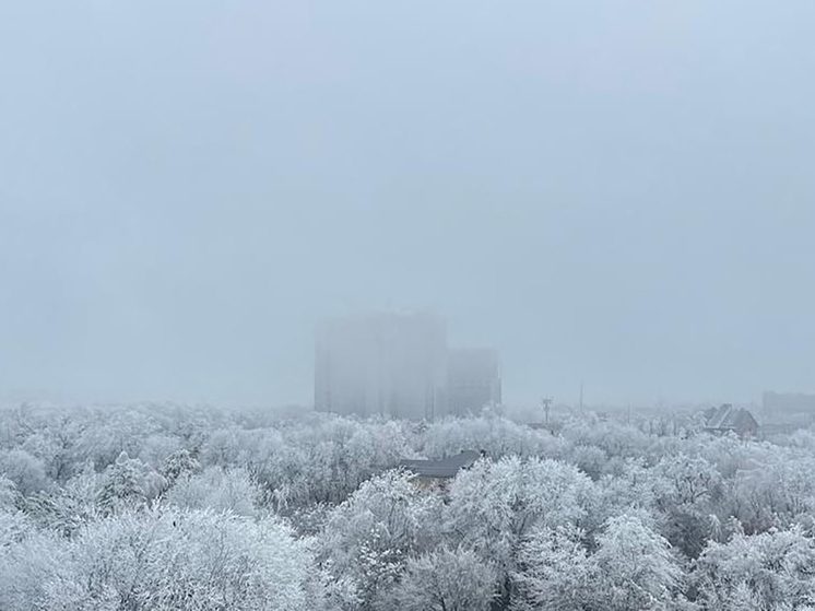 Жителей Чечни предупредили о сильном тумане
