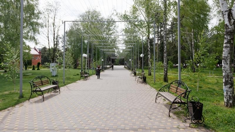 Жители Ставрополя могут проголосовать за благоустройство территории до 26 марта