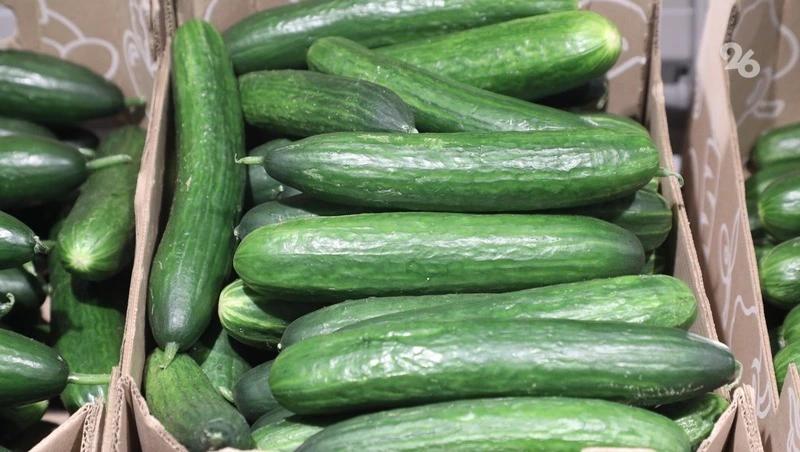 25,6 тыс. тонн тепличных овощей вырастили в Ставропольском крае с начала года