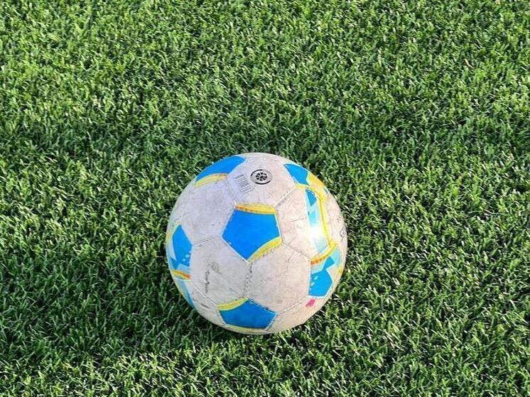 «Алания» победила в матче с «Динамо-Брянск»