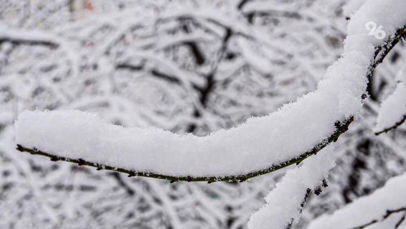 Апрельский снегопад удивил жителей Железноводска