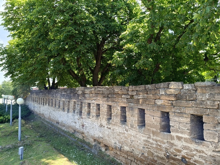 Бойцы СВО написали музыкальное посвящение Ставрополю в преддверии 250-летия города