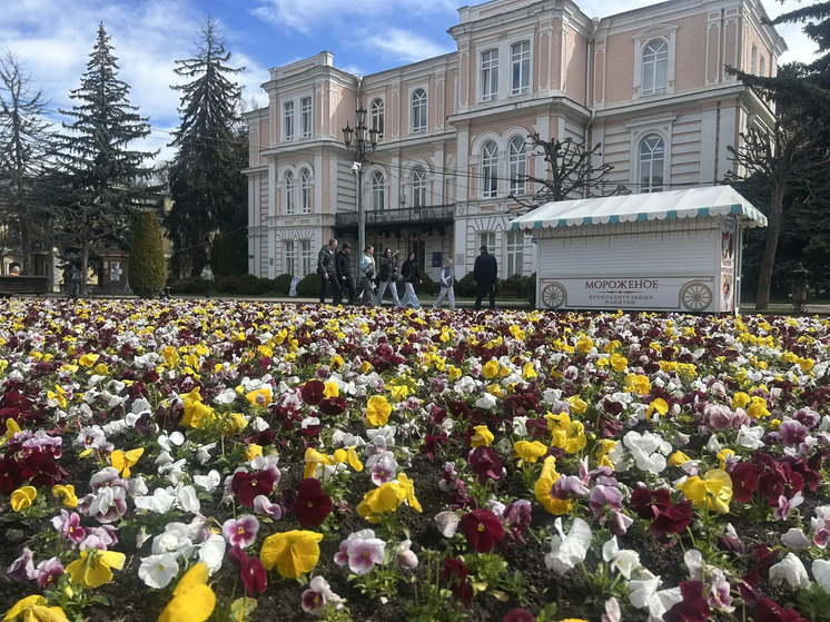 Более 330 тысяч цветов высадят в Кисловодске в этом году