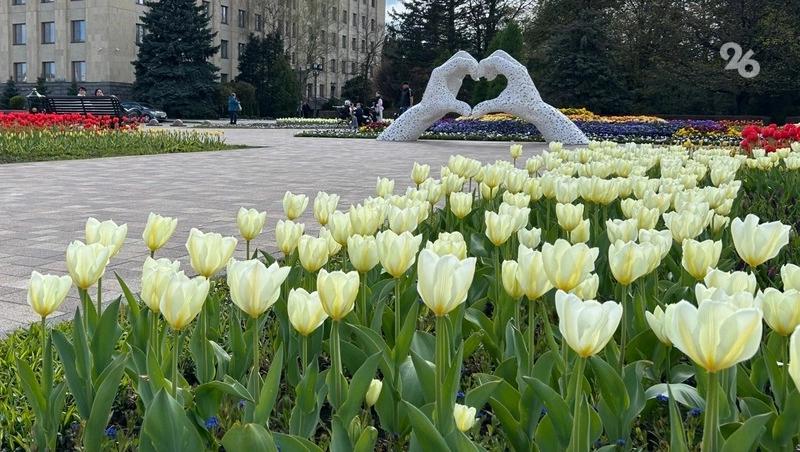 Четыре рабочих и три выходных дня ждут ставропольцев на следующей неделе