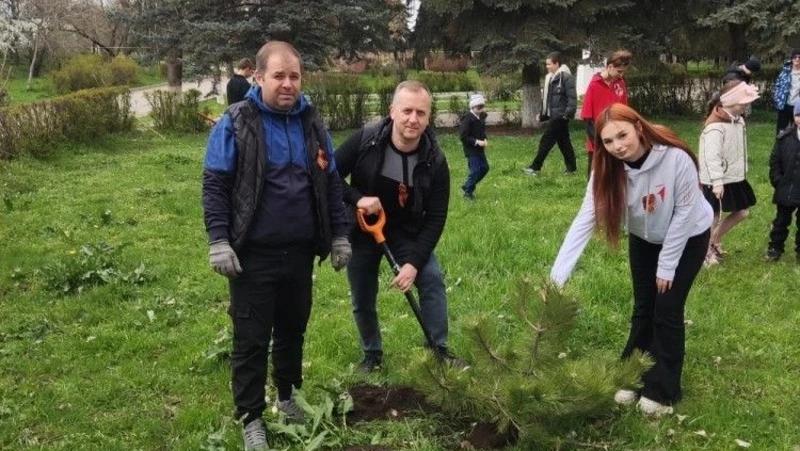 Десятки деревьев высадили участники акции &laquo;Сад памяти&raquo; на Ставрополье
