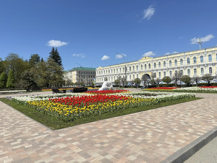 До 6 мая принимаются заявки на поддержку креативных индустрий из бюджета Ставрополя