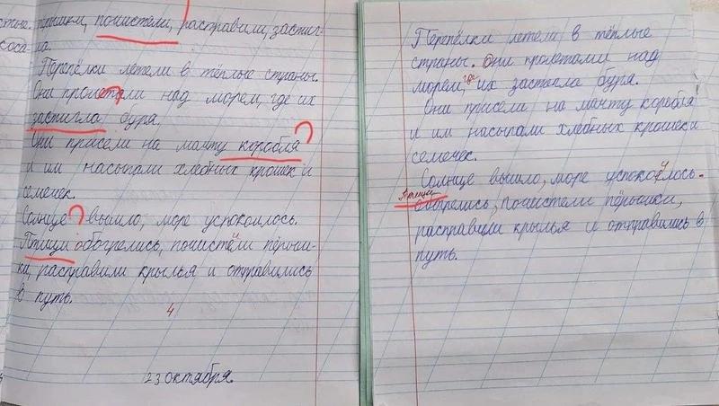 Екатерину Мизулину возмутила ставропольская учительница, которая не видит ошибок