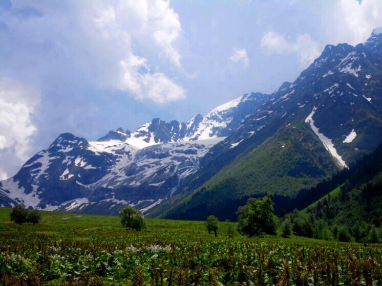 Экономический форум в Сухуме укрепил сотрудничество туриндустрии Северного Кавказа и Абхазии