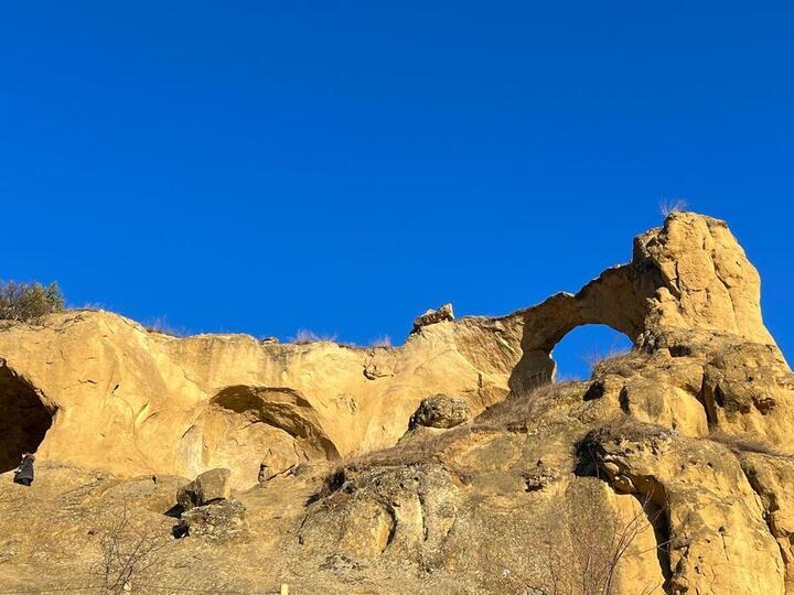 Гостей Кисловодска встречает молчаливый страж Боргустан  Ставрополь (Кавказ)1