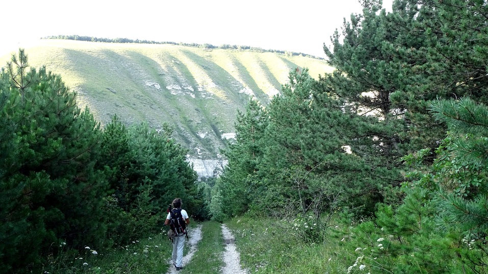 Гостей Кисловодска встречает молчаливый страж Боргустан  Ставрополь (Кавказ)2