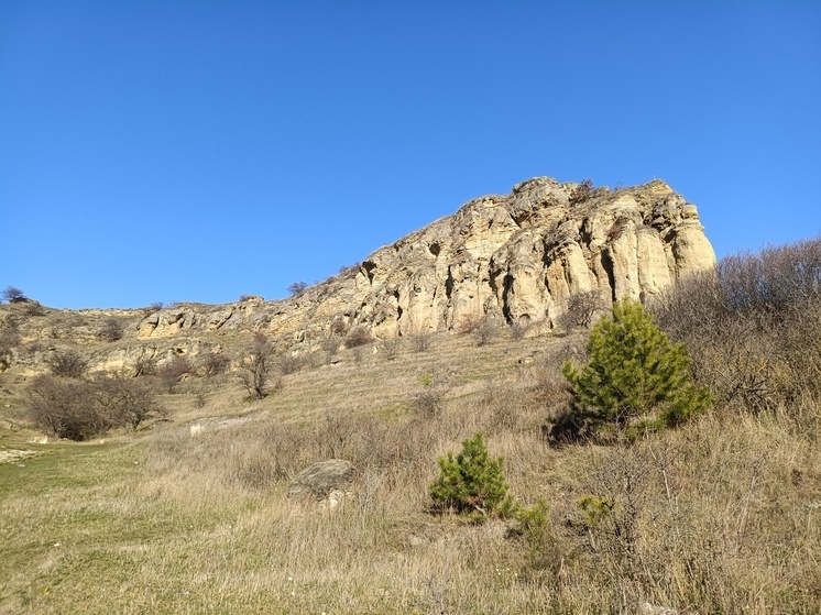 Гостей Кисловодска встречает молчаливый страж Боргустан