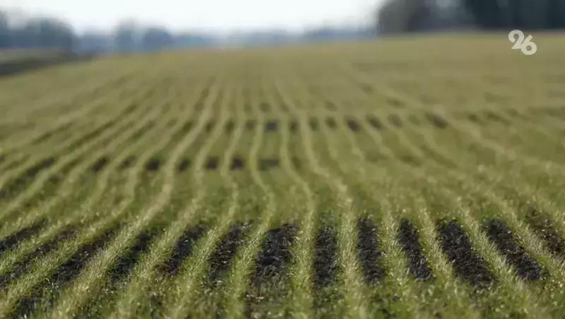 Губернатор Ставрополья обсудил экспорт удобрений с главой минсельхоза Сербии