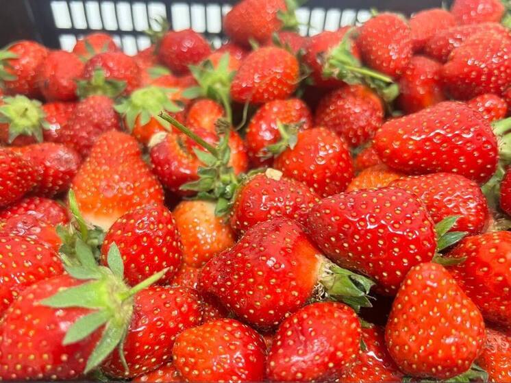 Губернатор Владимиров: на Ставрополье проведут не менее 35 тысяч продовольственных ярмарок