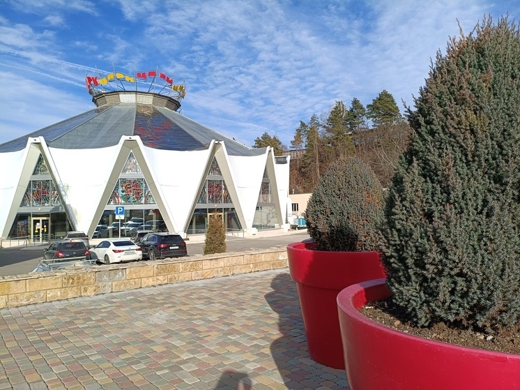 Юные циркачи из Кисловодска представляют регион на «Весенней школе» в Москве