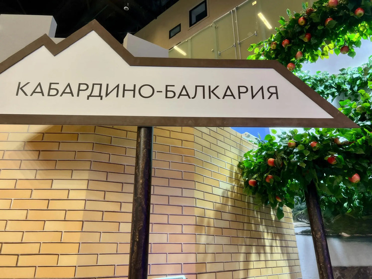 Казбек Коков представил инвестпотенциал Кабардино-Балкарии на сессии Кавказского инвестфорума