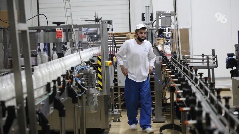 Лучшие направления по импортозамещению на Ставрополье назвал глава минэка края