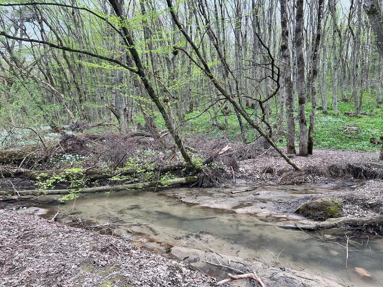 Минприроды Ставрополья провело субботник на реке Бугунта