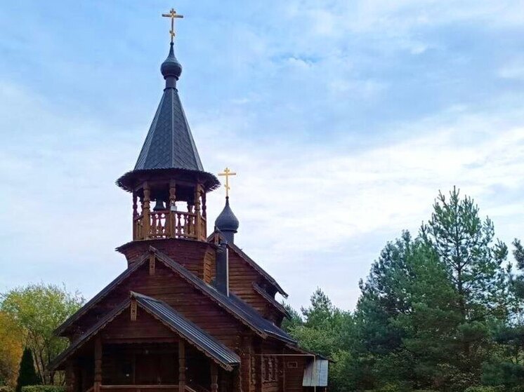 Мёд и святая сила: что принесет ставропольцам день преподобного Зосимы Пчельника