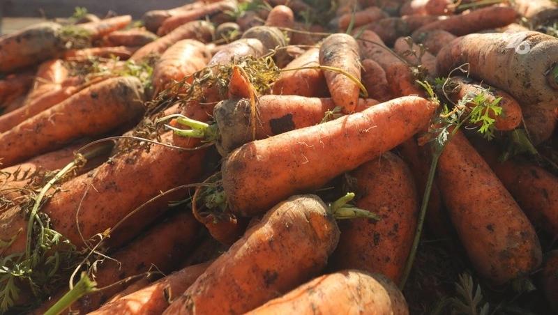 Морковь, картофель и капуста подорожали на Ставрополье за первую неделю апреля