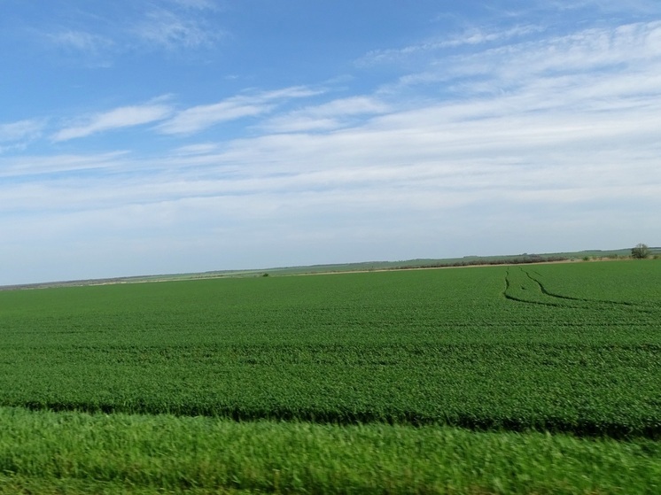 На Северном Кавказе планируют ввести в оборот новые пашни
