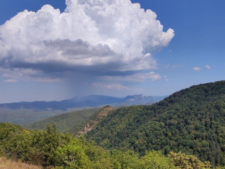 На Ставрополье дача генсека станет курортом