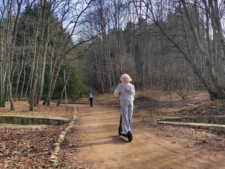 На Ставрополье обсудили проблему аварийности с СИМ и питбайками