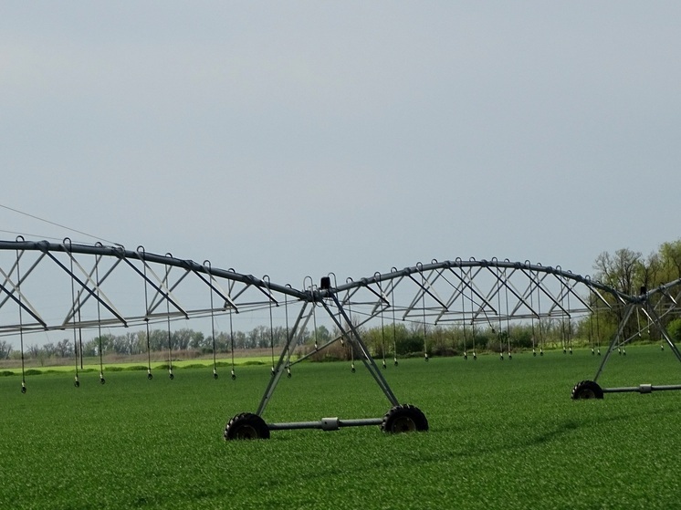 На Ставрополье площадь орошения сельхозугодий составляет 110 тыс. гектаров