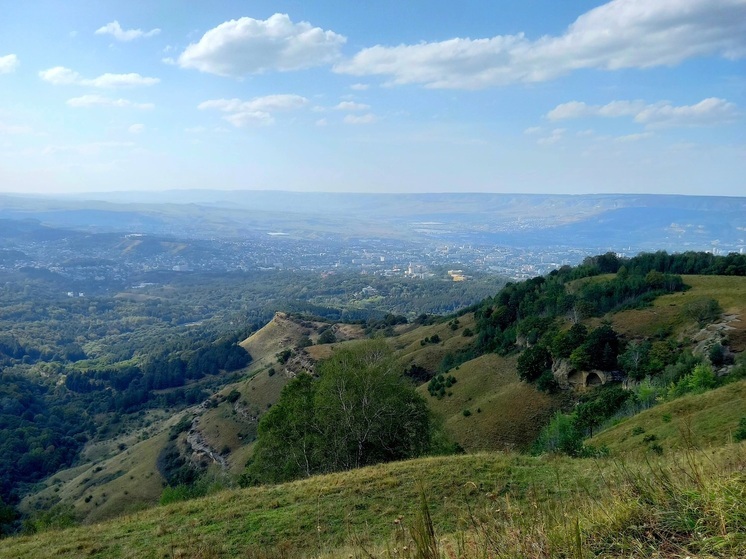 На Ставрополье приступили к формированию списка опасных растений